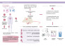 make your graphical abstracts stand out